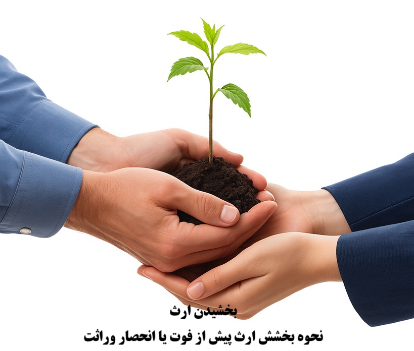 شرایط بخشش ارث پیش از مرگ یا انحصار وراثت به برادر یا خواهر