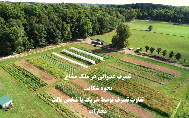 تصرف عدوانی در ملک مشاع