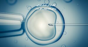 حکم شرعی تخمک اهدایی از دید رهبری،مراجع تقلید شیعه و اهل سنت