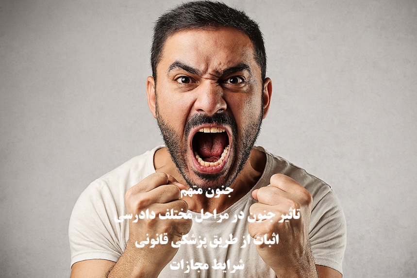 جنون متهم و آثار آن در مراحل مختلف دادرسی و صدور حکم