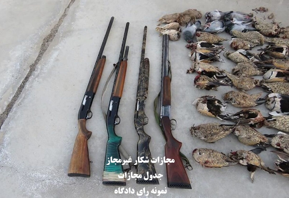 مجازات شکار غیرمجاز ۱۴۰۴