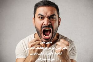 جنون متهم و آثار آن در مراحل مختلف دادرسی و صدور حکم