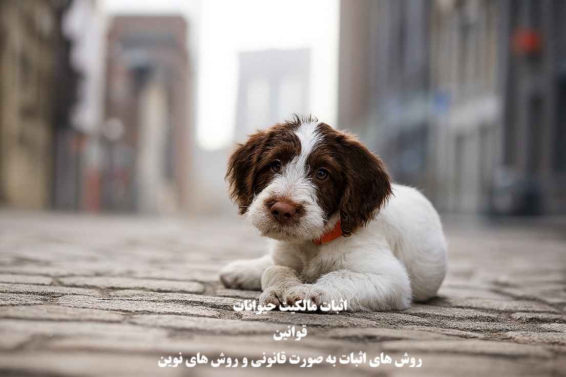 راهنمای اثبات مالکیت حیوانات خانگی