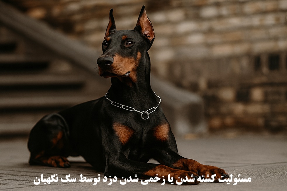 کشته شدن یا زخمی شدن دزد توسط سگ نگهبان