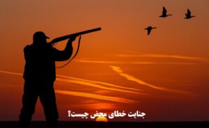 جنایت خطای محض چیست؟