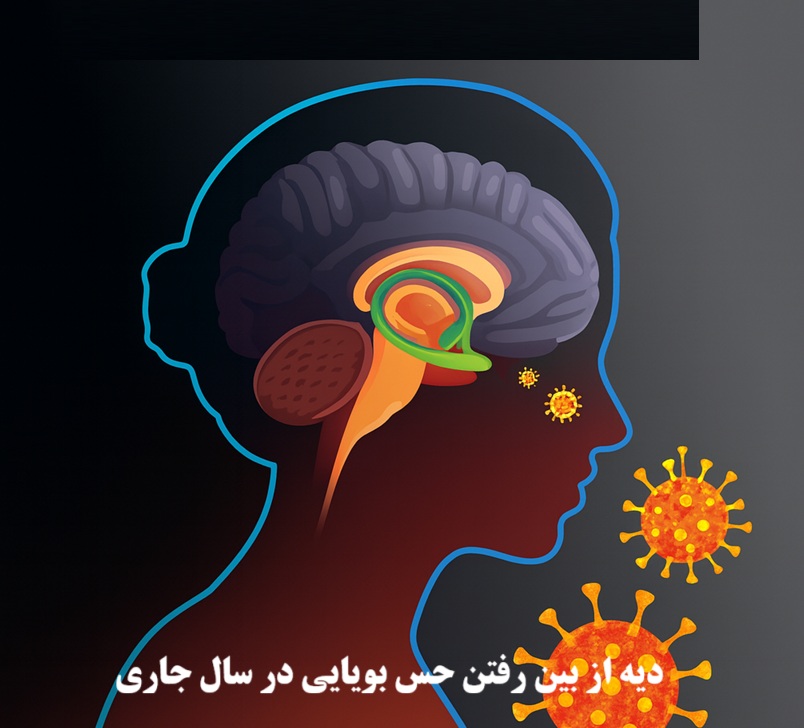 دیه از بین رفتن حس بویایی در سال 1404