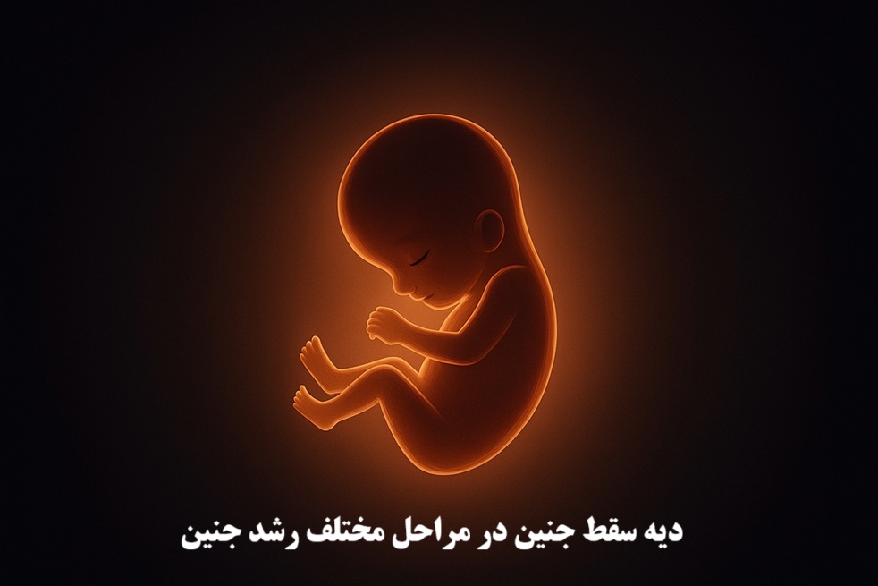 دیه سقط جنین در سال ۱۴۰۴ در مراحل مختلف رشد جنین