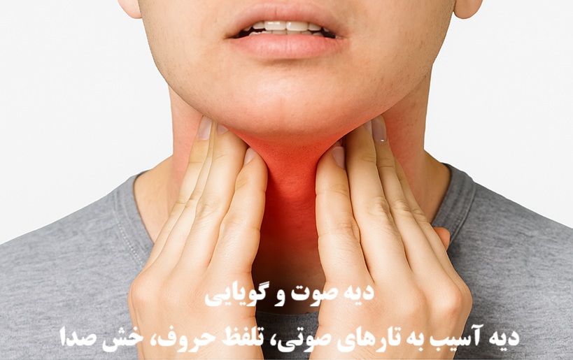 دیه صوت و گویایی ۱۴۰۴