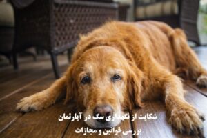 شکایت از نگهداری سگ در آپارتمان