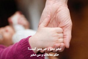 صغیر ممیز و غیر ممیز کیست