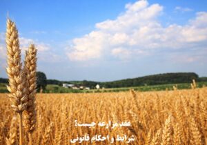 عقد مزارعه چیست؟