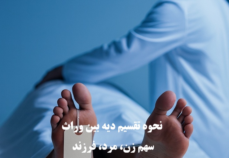 نحوه تقسیم دیه بین وراث